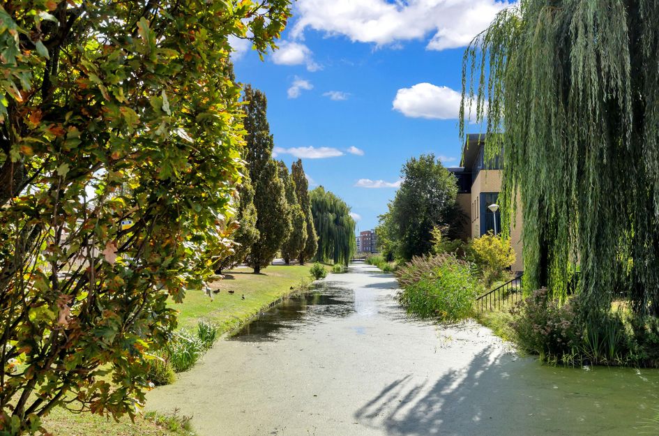 van der Fuyckstraat 19