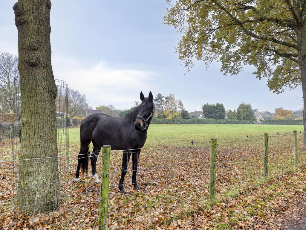 Berkenblad 14, Oostvoorne