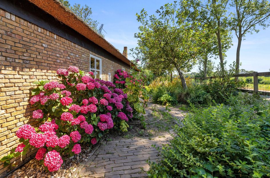 Wouddijk 12