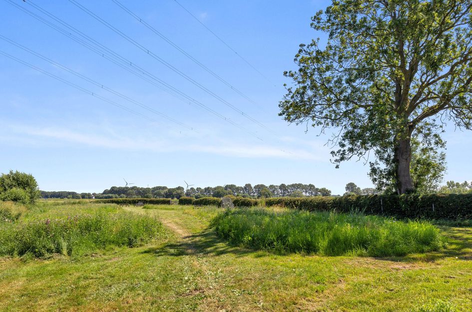 Wouddijk 12