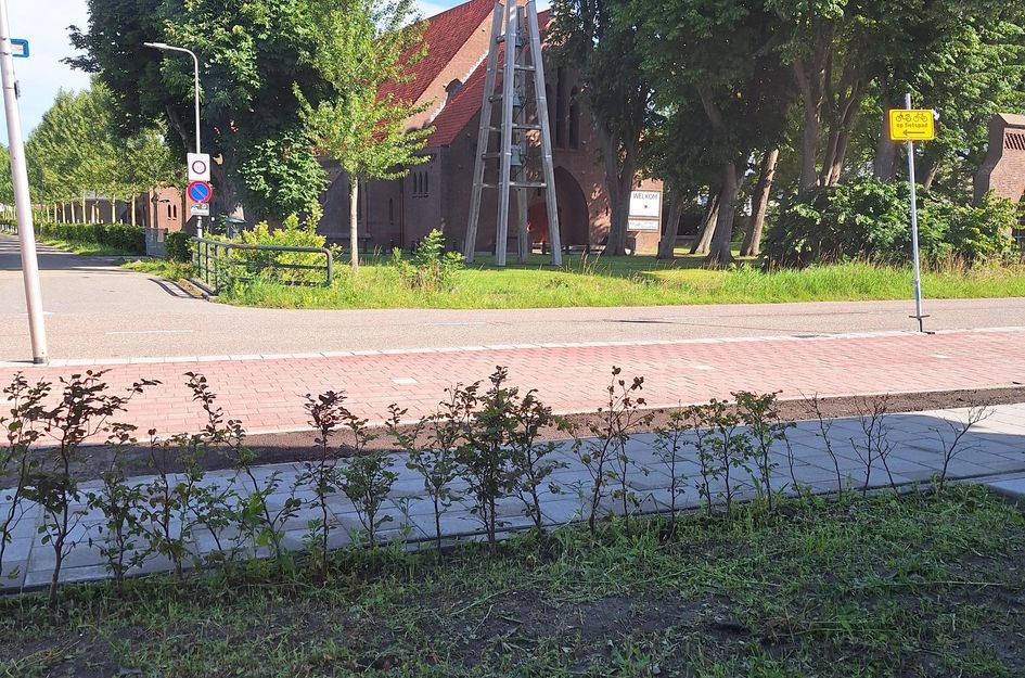 Hof der twee getuigen 51