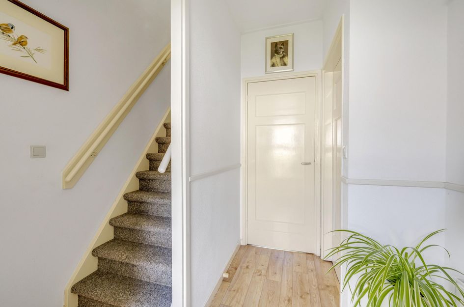 Witte de Withstraat 9