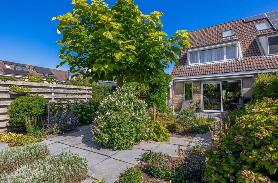 Deel 43