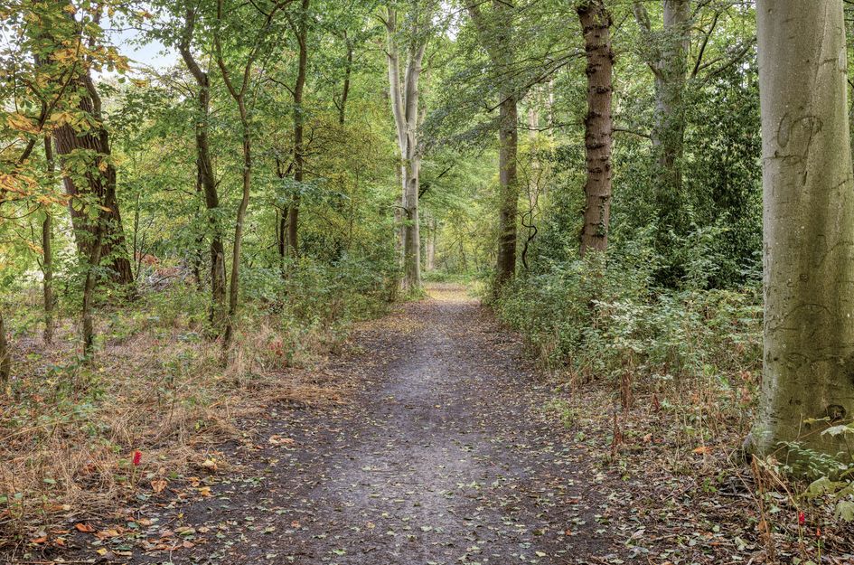 Bethlehemweg 41
