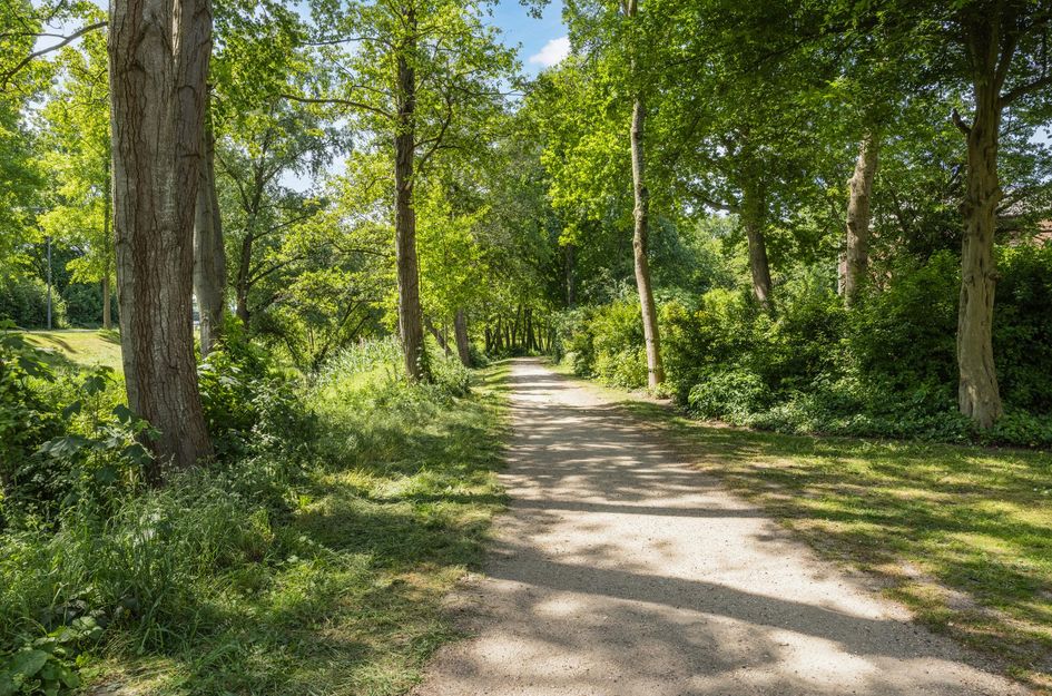 Bloesemlaan 49
