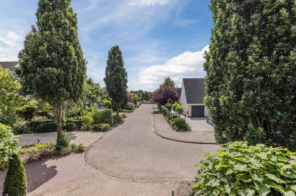 Montanusstraat 10