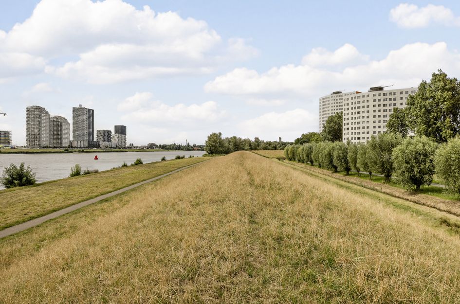 Horsweg 43