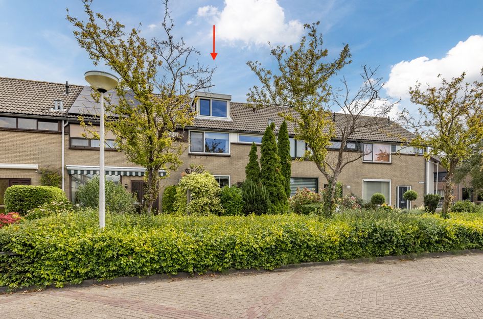 Potgieterstraat 6