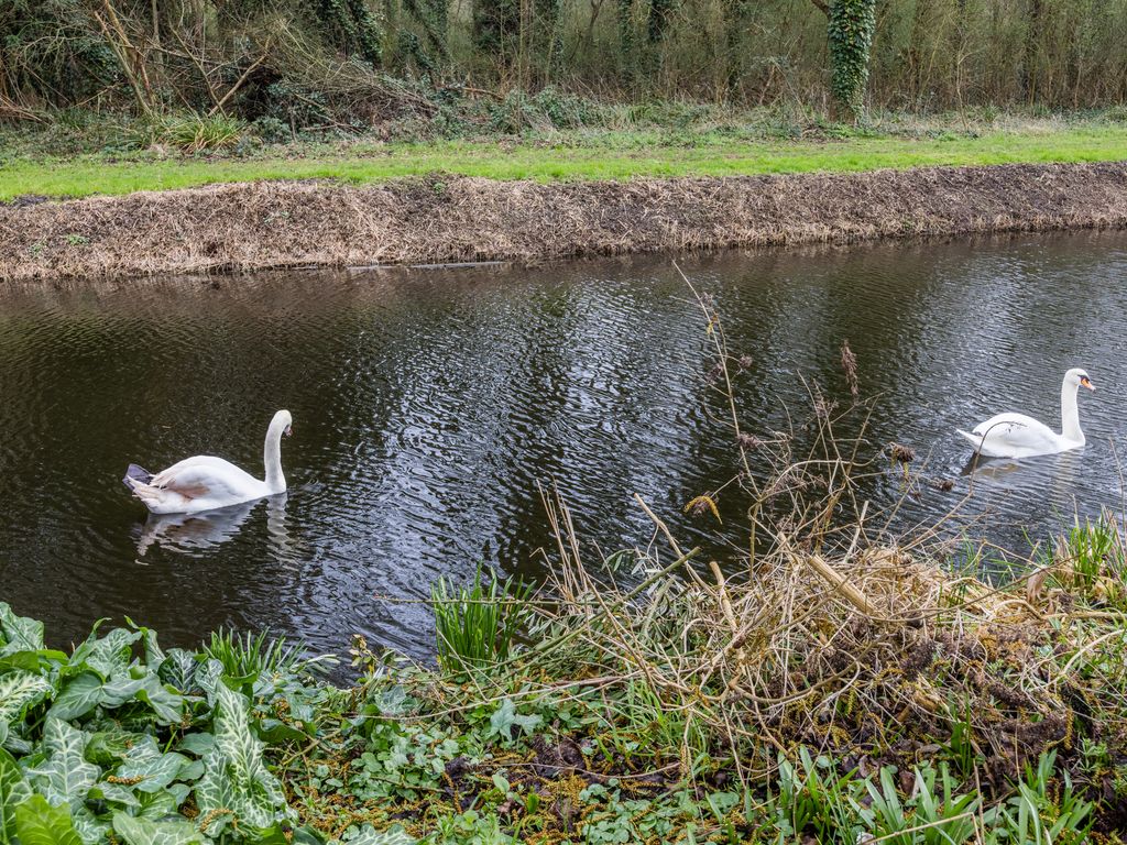 Hermelijn 13, HELLEVOETSLUIS