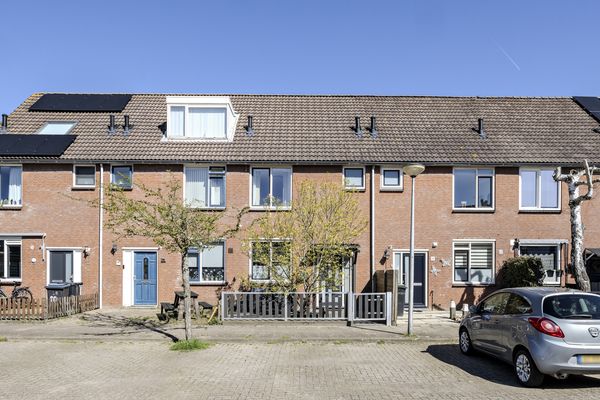 Oranjetip 16