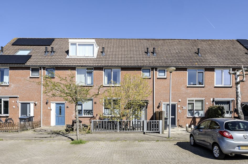 Oranjetip 16