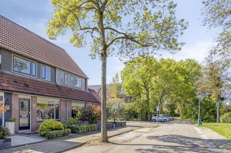Steenhouwer 2