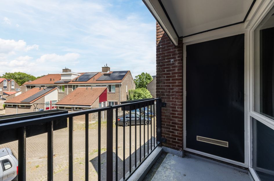Vuurdoorn 1