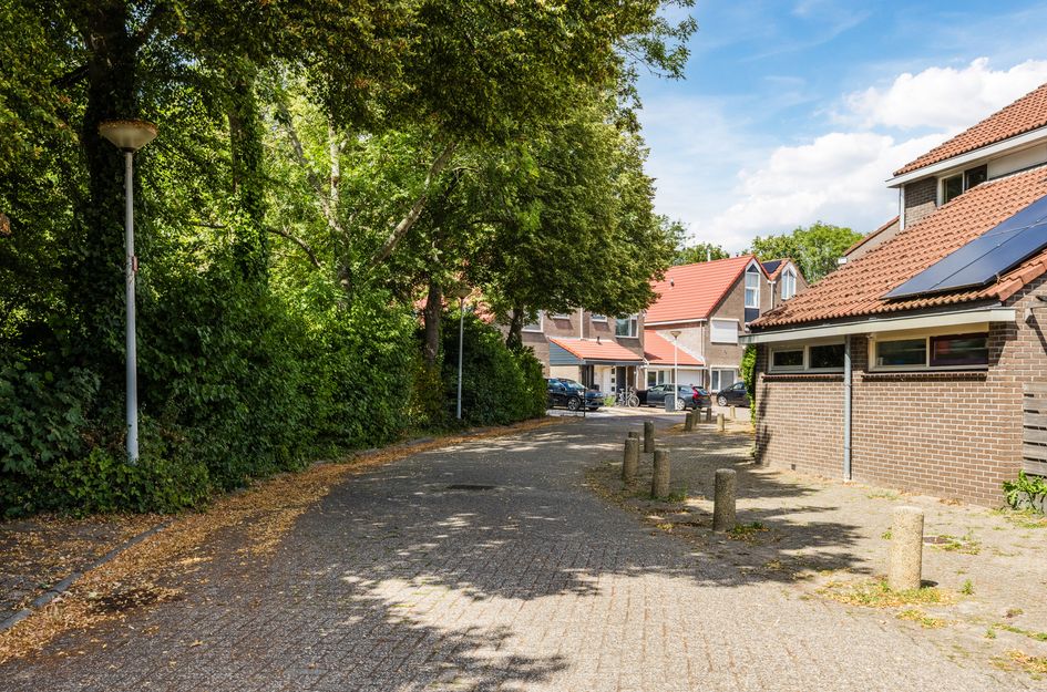 Vuurdoorn 1
