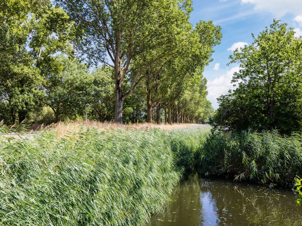 Vuurdoorn 1, HELLEVOETSLUIS