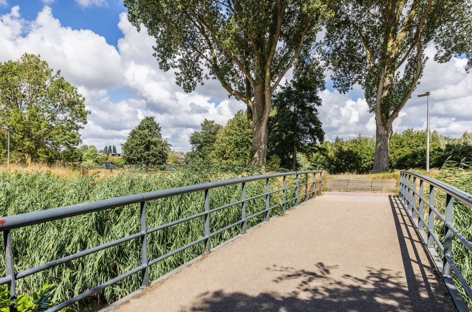 Vuurdoorn 1