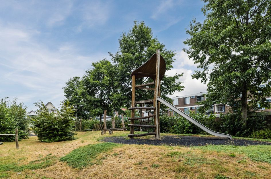 Ruygeplaat 13