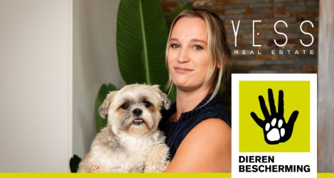 Verkoop of koop in december een woning en steun de dierenopvang!