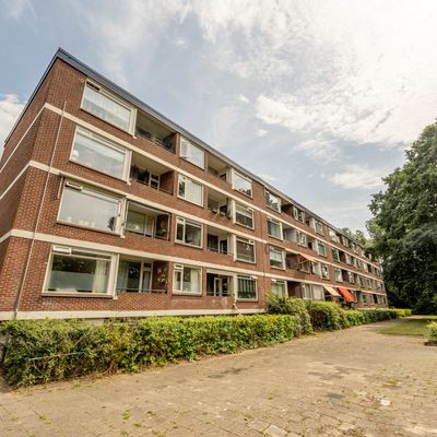 Ruigoord 268, Rotterdam