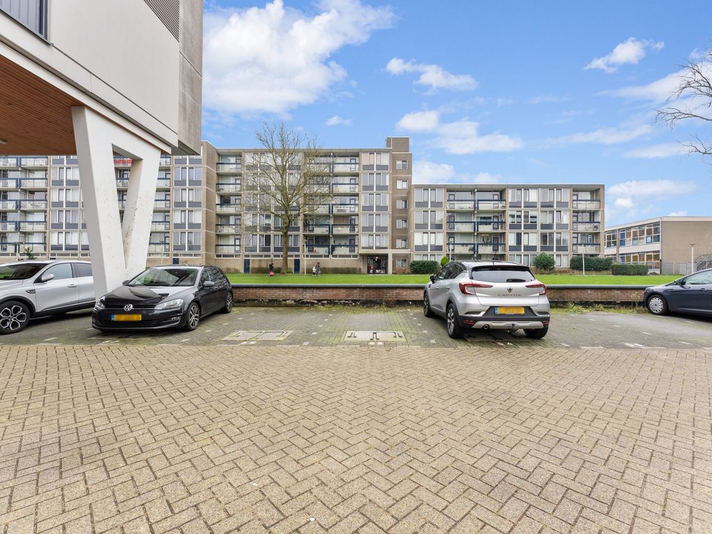 Plein 1953 209, Rotterdam