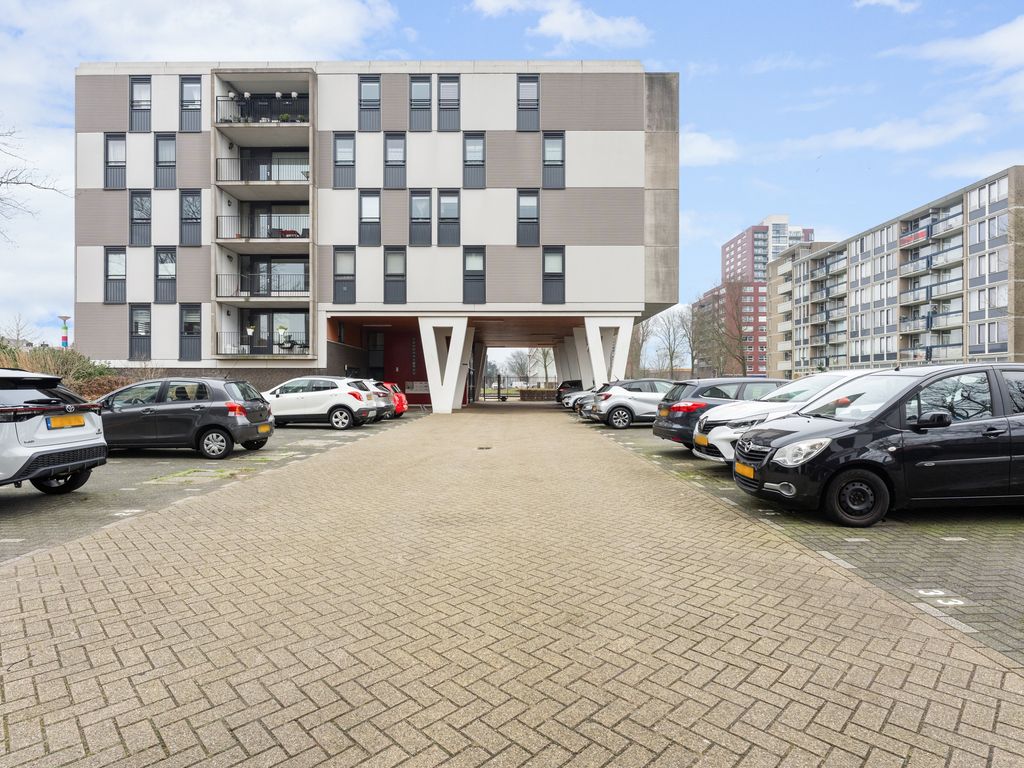 Plein 1953 209, Rotterdam