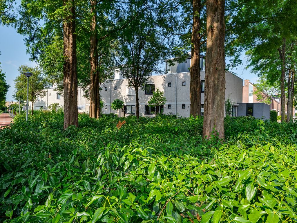 Schipmolen 4, Barendrecht