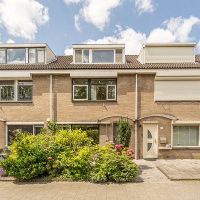 Suezpad 53, Rotterdam
