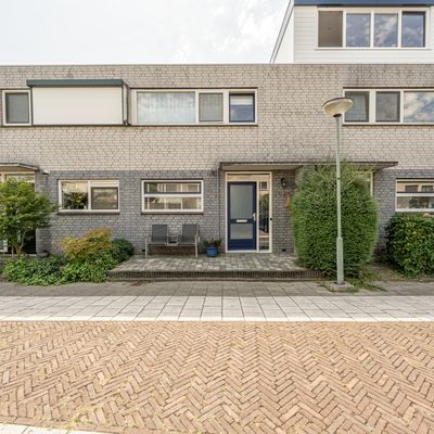 Palissander 354, Dordrecht