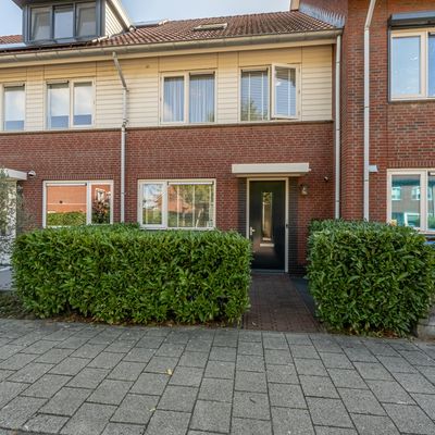 Goudzoeker 22, Rhoon