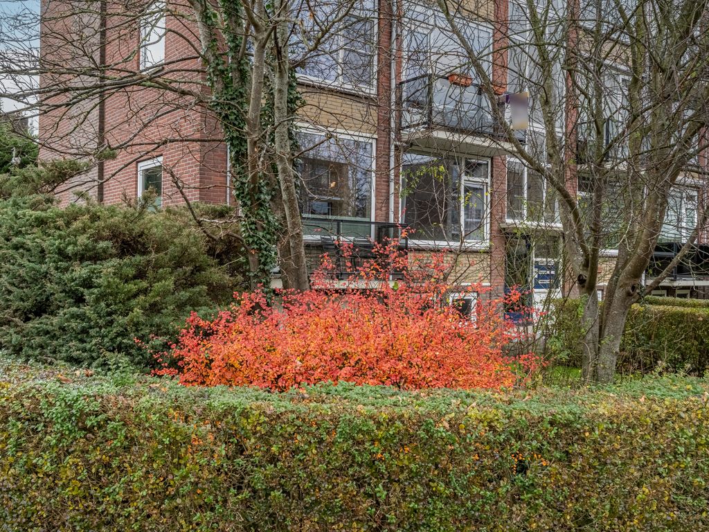 Jhr. De Savornin Lohmanstraat 44, Ridderkerk
