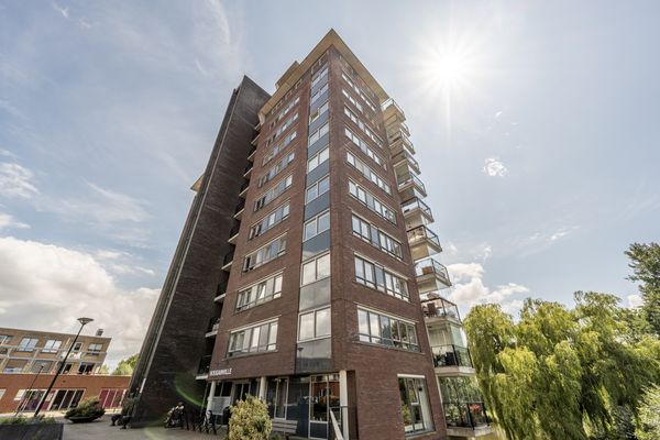 Thetfordstraat 172, Spijkenisse