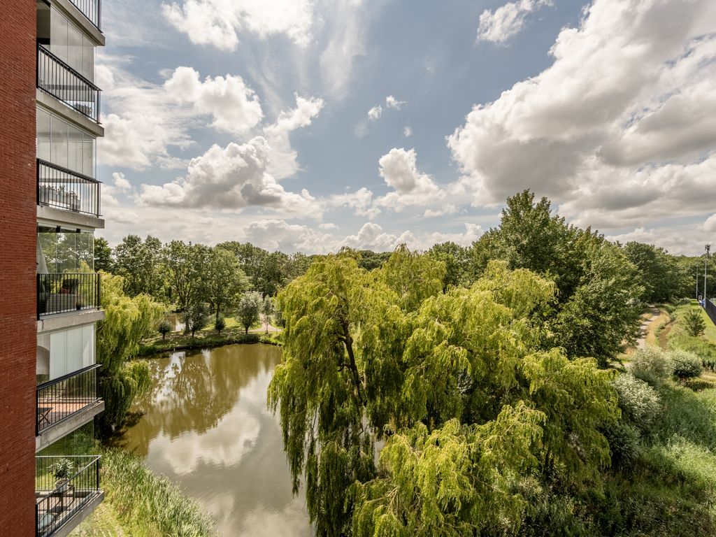 Thetfordstraat 172, Spijkenisse