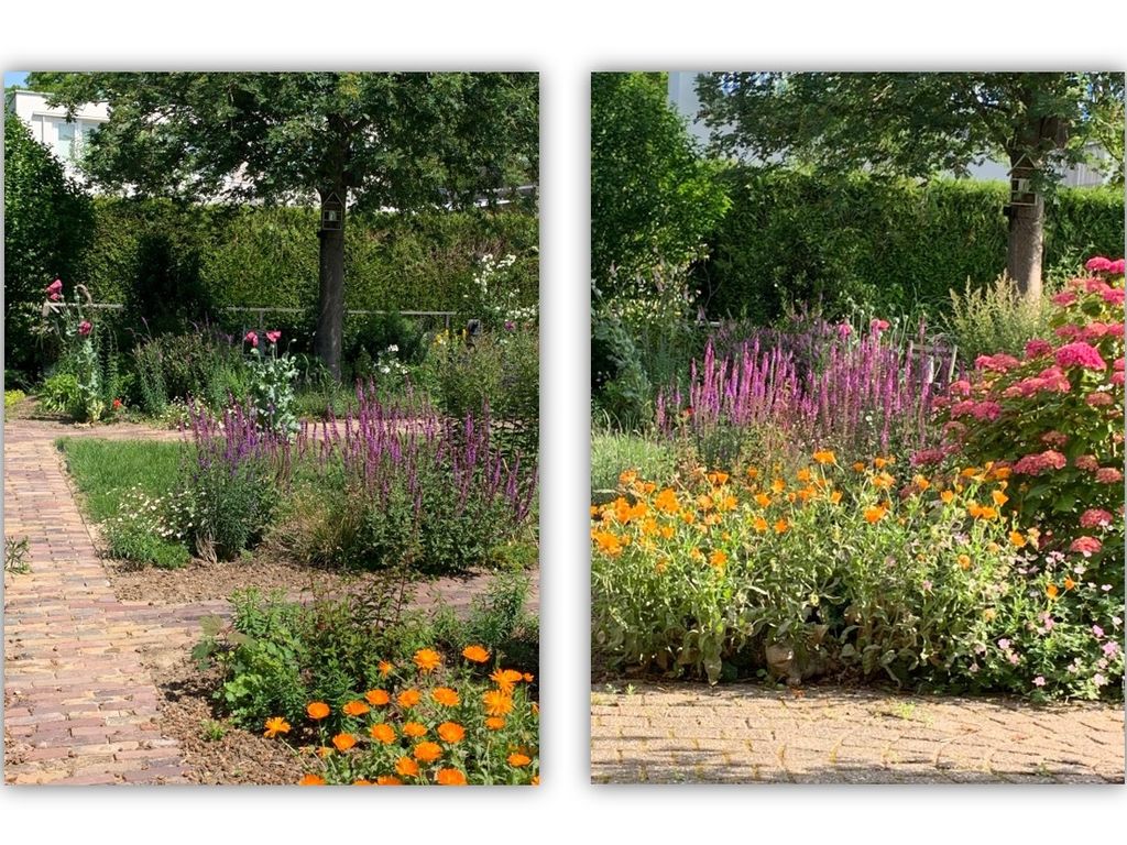 Grondmolen 21, Barendrecht