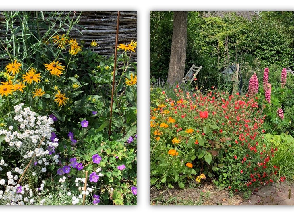 Grondmolen 21, Barendrecht