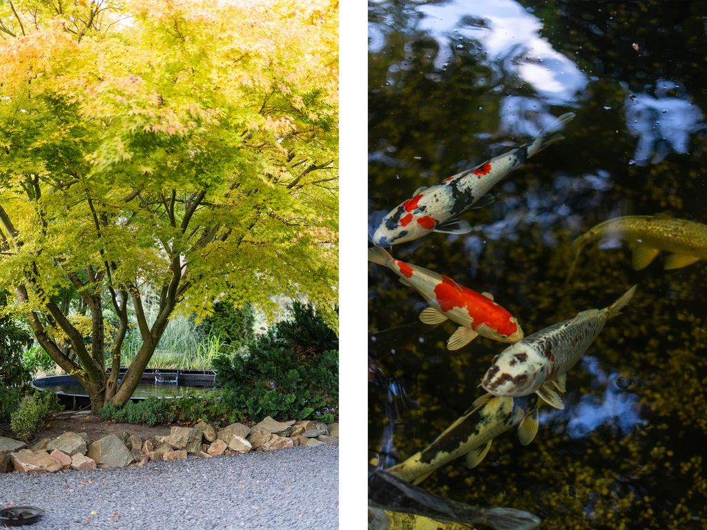 's-Gravenweg 724J, Rotterdam