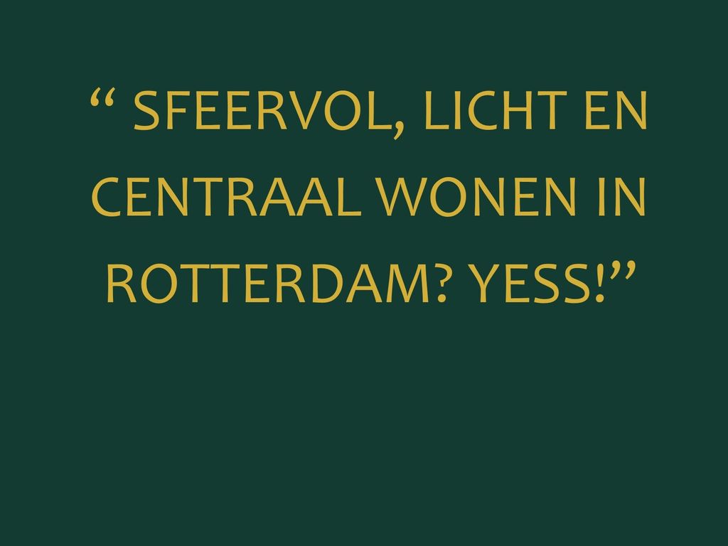 Henegouwerlaan 60B, Rotterdam