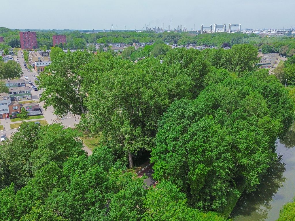 Kalmoesstraat 44, Hoogvliet Rotterdam