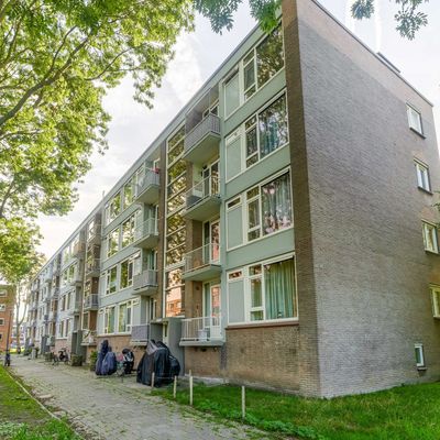 Wilbertoord 253, Rotterdam