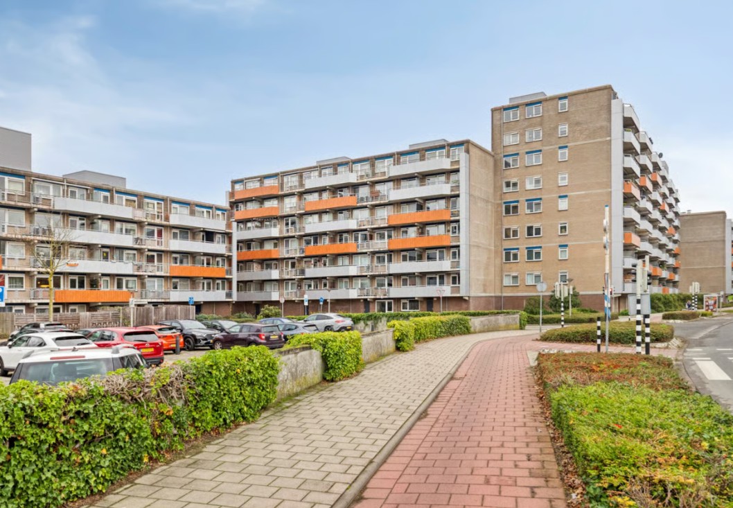 tomatenplein 173.jpg