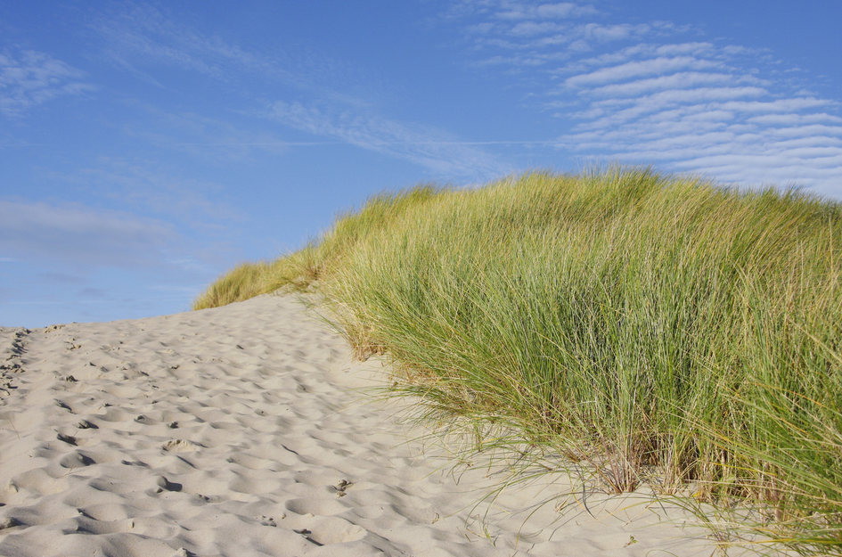 Zanderijweg 14, bouwnummer 39 
