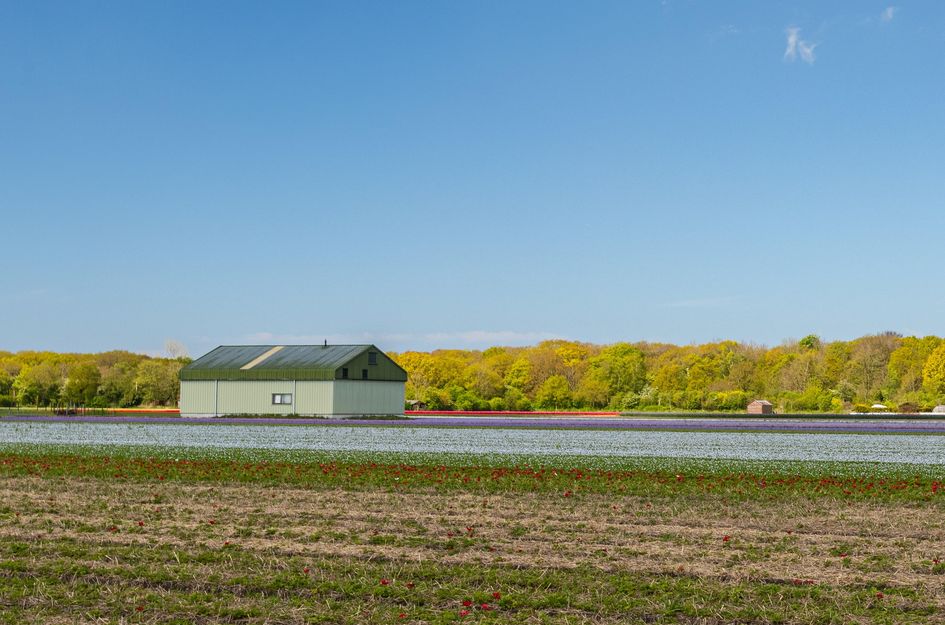 Zanderijweg 14, bouwnummer 39 