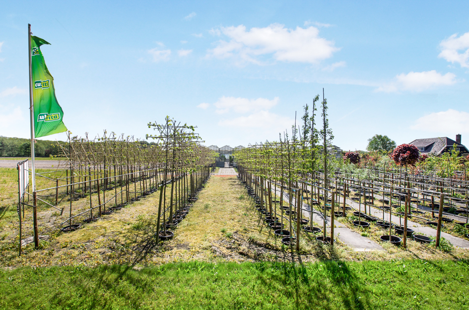 Zanderijweg 14, bouwnummer 39 