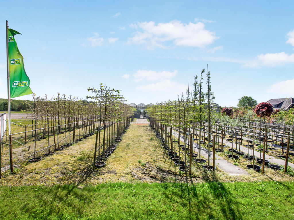 Kramersweg 7 (bwnr 36) , CASTRICUM