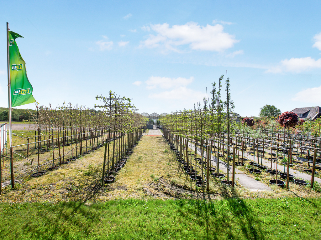 Zanderijweg 13, bouwnummer 2 , CASTRICUM