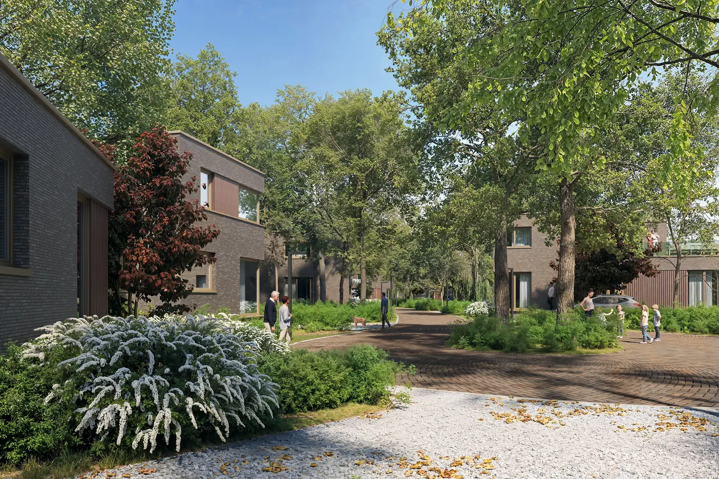 Wonen in het bos
