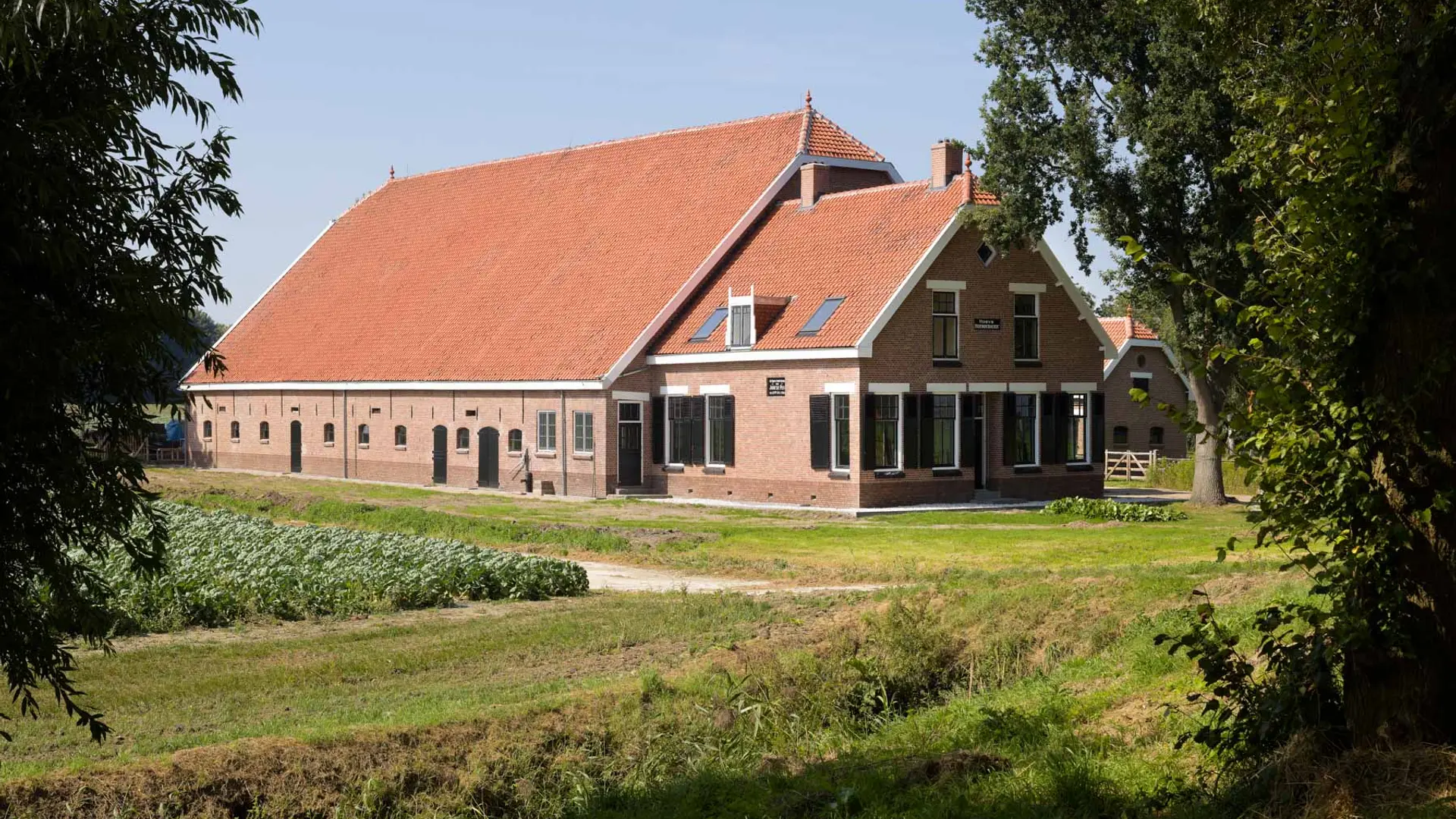 Boerderij Ringdijk 6