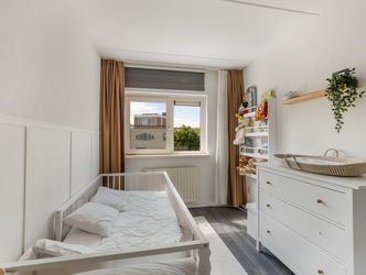 Mahonie 258, DORDRECHT