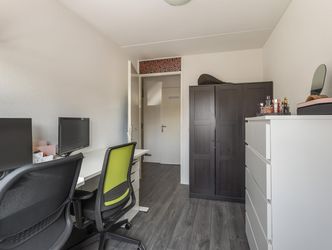 Mahonie 258, DORDRECHT