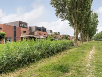 Amazone 264, DORDRECHT