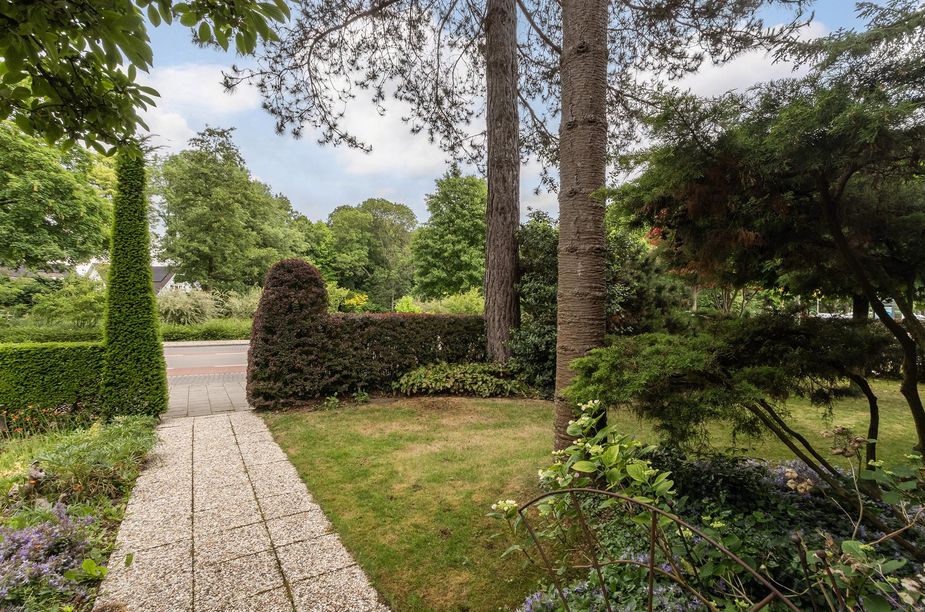 Gravensingel 43
